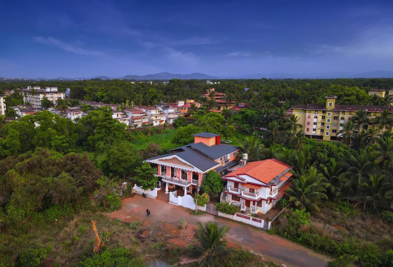 Hotel Treehouse Vega, A Boutique