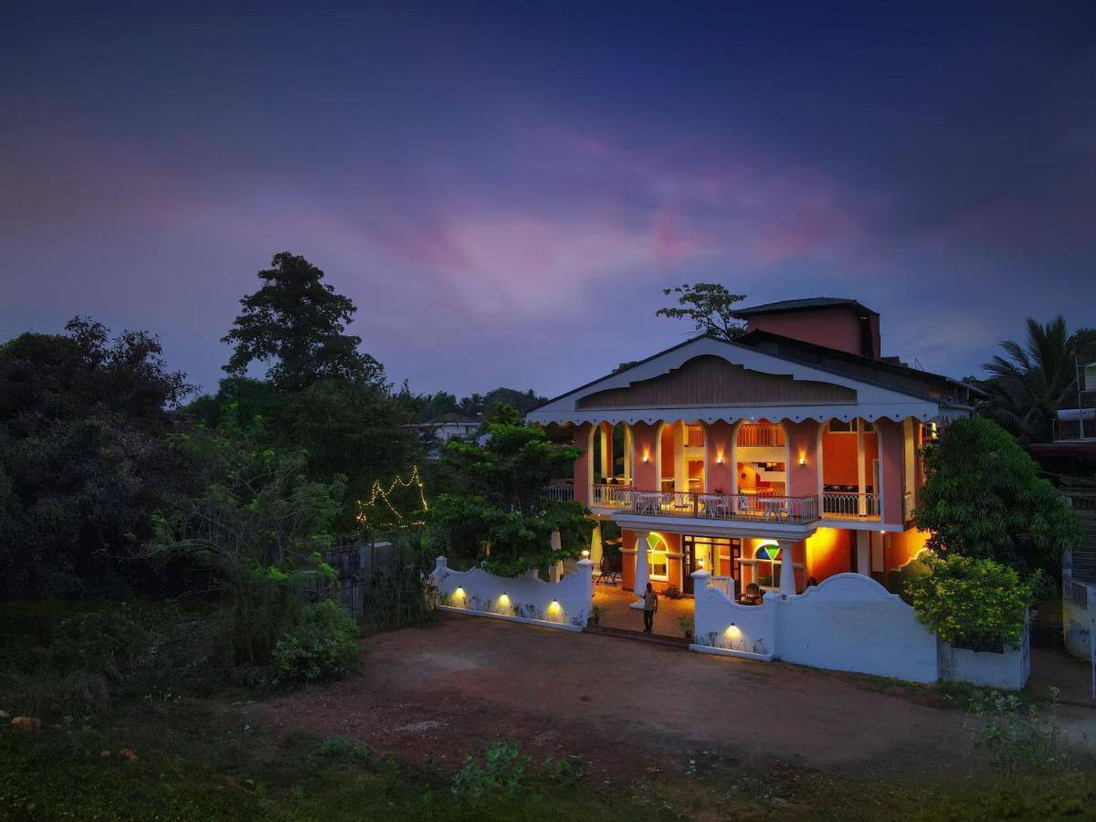 Treehouse Vega, A Boutique